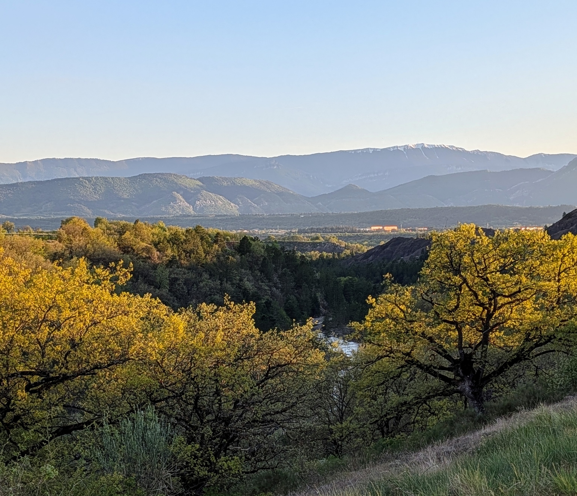 La Campagne de Vallauris