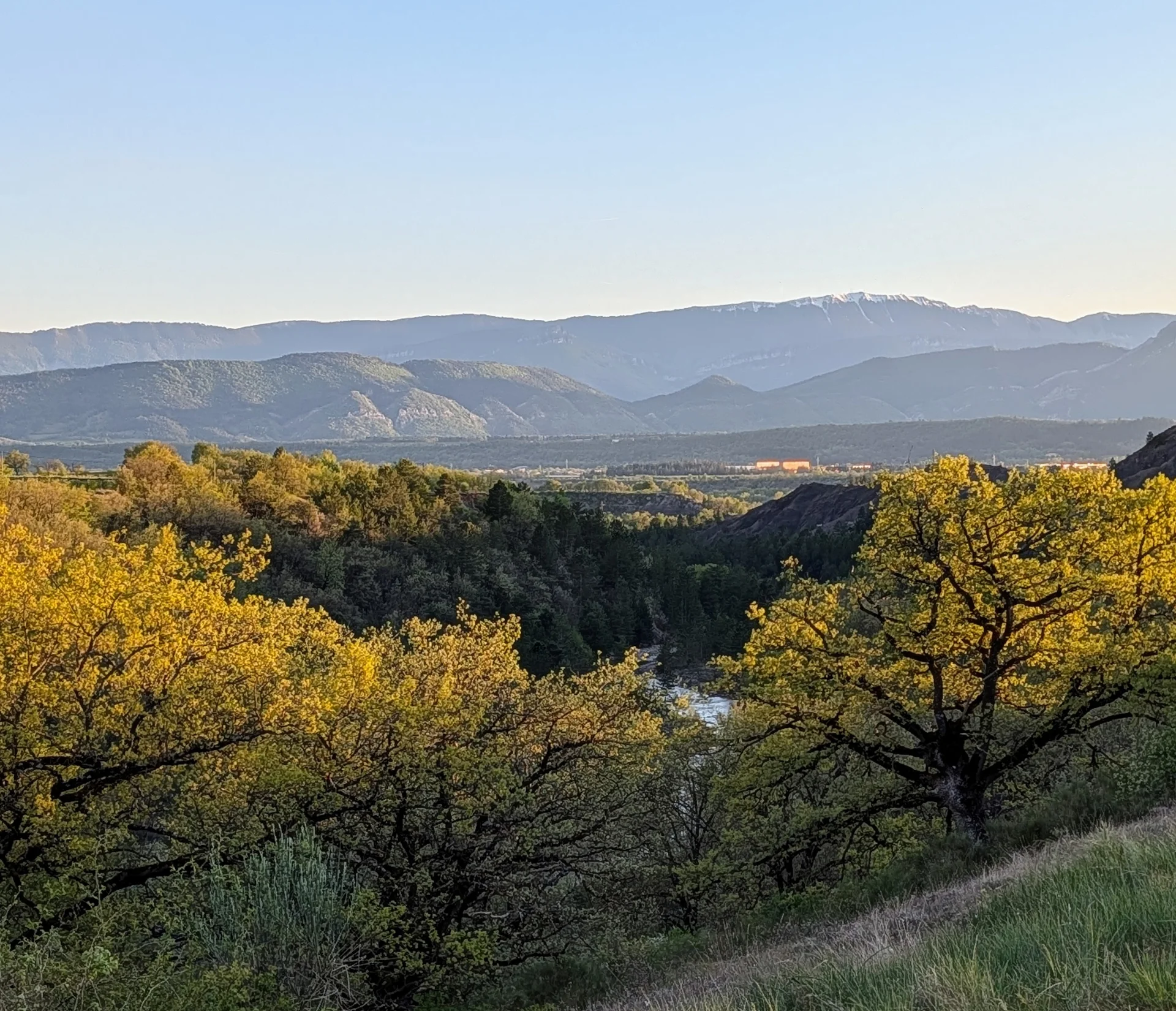 La Campagne Vallauris