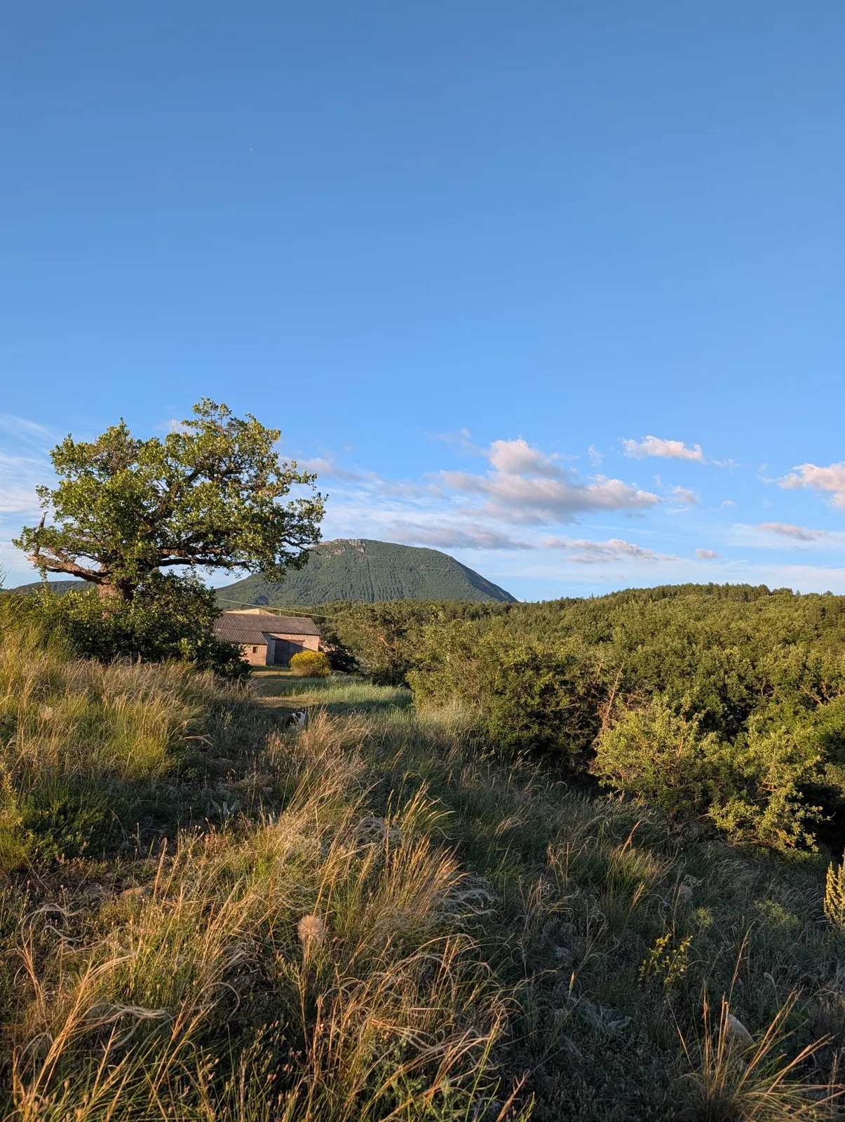 La Campagne Vallauris